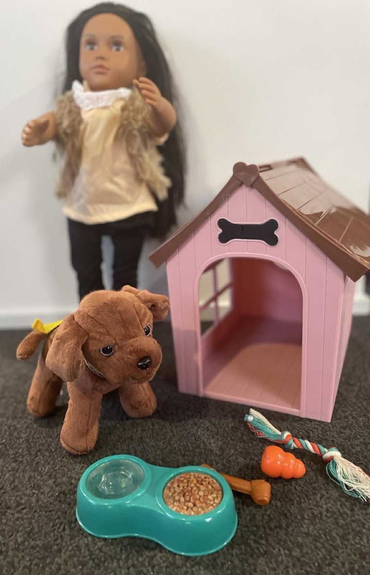 Our Generation Millie and Puppy plus kennel